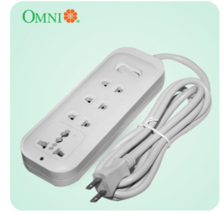 Extension Cord (10 m with switch)